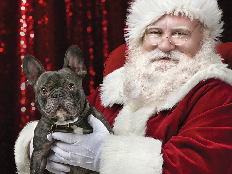 Pet Pictures with Santa